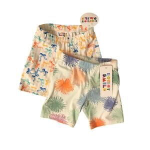 Dot Dot Smile Cartwheel/Bike Shorts (2) Size 2T